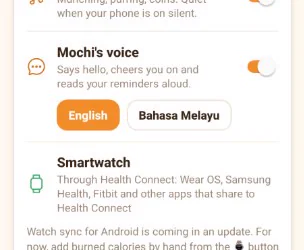 A settings row reading Mochi's voice, with English and Bahasa Melayu options